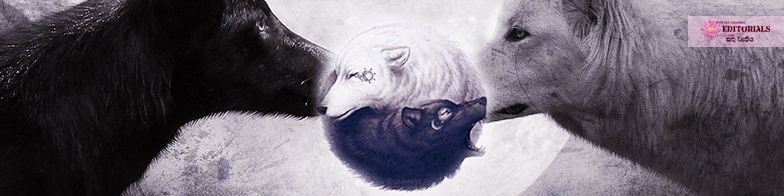 Which one you will feed?