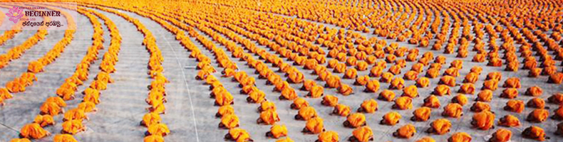 What is with the Rob?