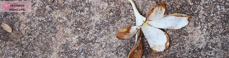 Is Buddhism only talks about suffering?