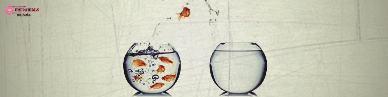 The Dhamma will guide you!