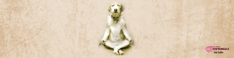 Compassionate? Are you sure? (part 01)